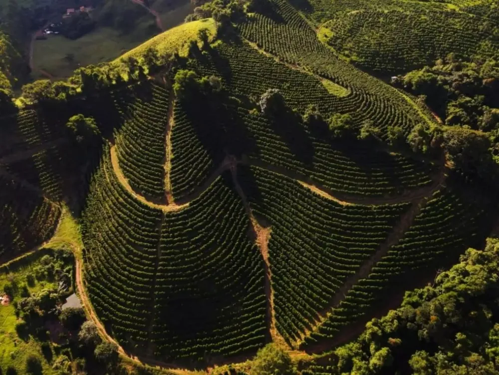 Fazenda, 48 hectares - Foto 2