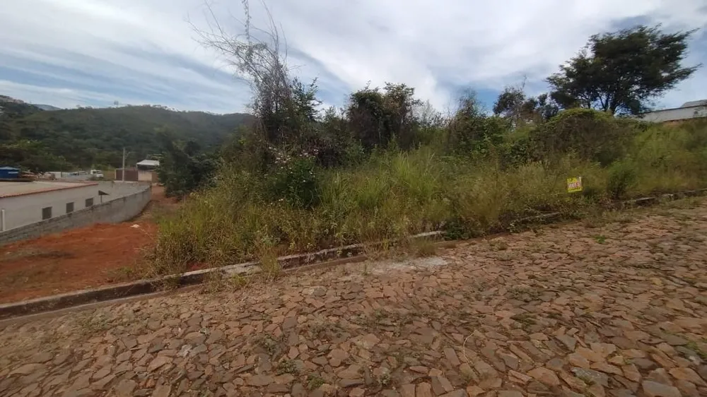 Terreno - Foto 4