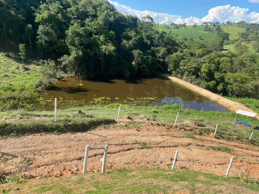 Chácara, 1 quarto, 10000 m² - Foto 8