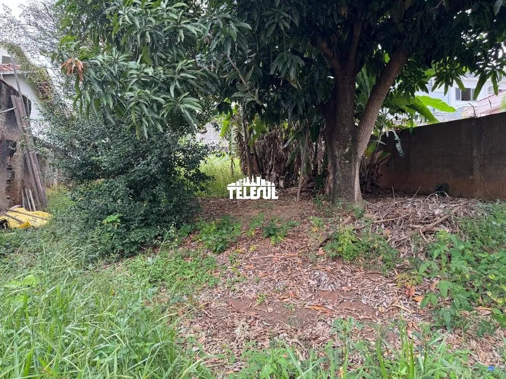 Terreno, 250 m² - Foto 3