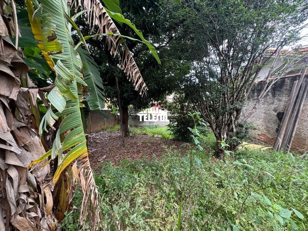 Terreno, 250 m² - Foto 6