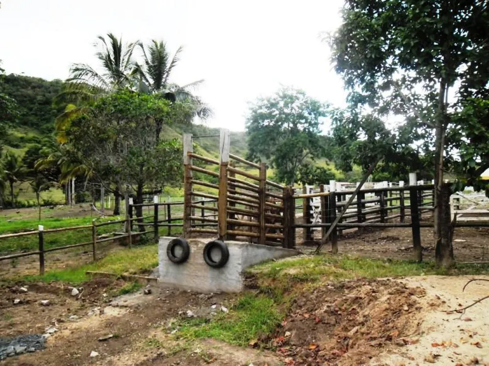 Chácara, 3 quartos, 12 hectares - Foto 4