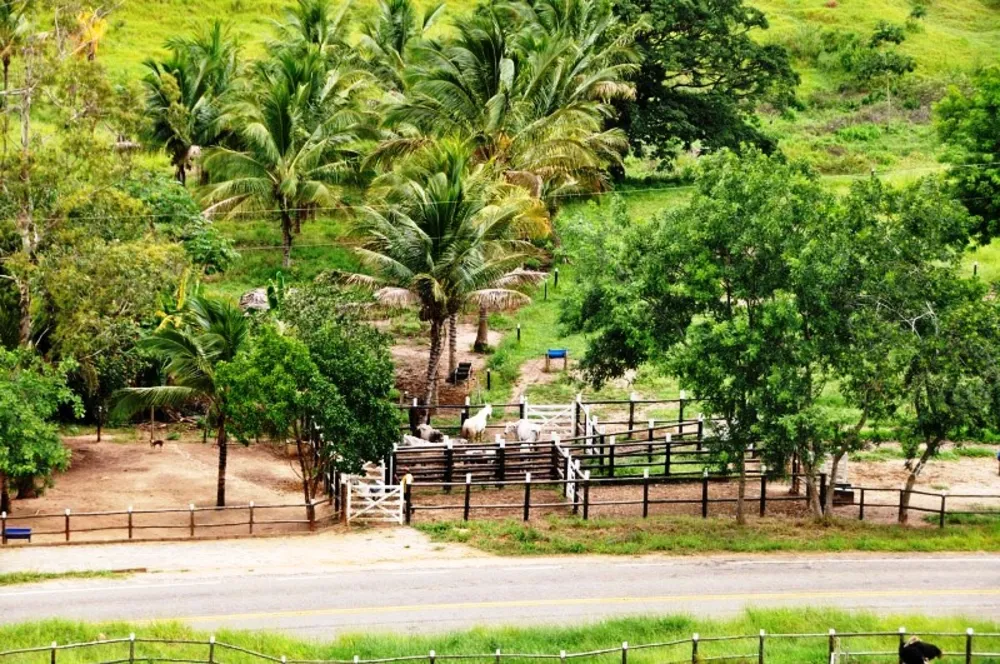 Sítio, 3 quartos, 12 hectares - Foto 8