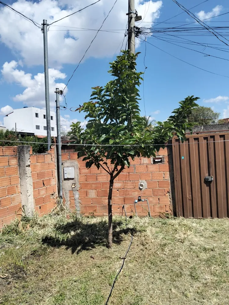 Casa, 3 quartos, 360 m² - Foto 4