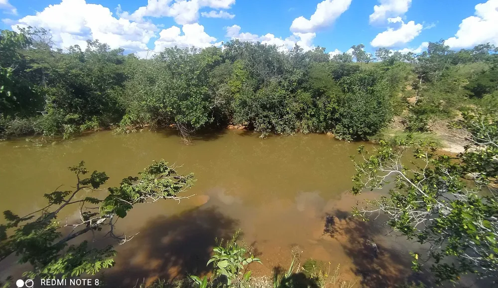 Fazenda, 615 hectares - Foto 3