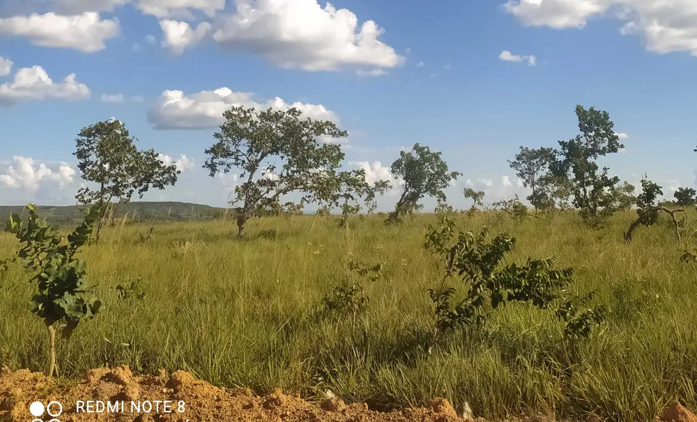 Fazenda, 615 hectares - Foto 6