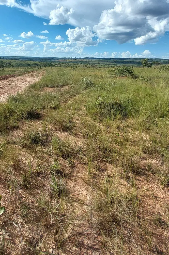 Fazenda, 615 hectares - Foto 13