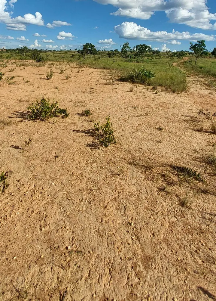 Fazenda, 615 hectares - Foto 19
