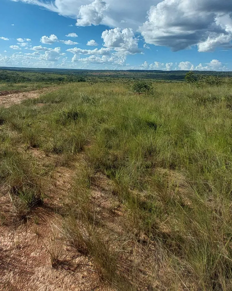 Fazenda, 615 hectares - Foto 18
