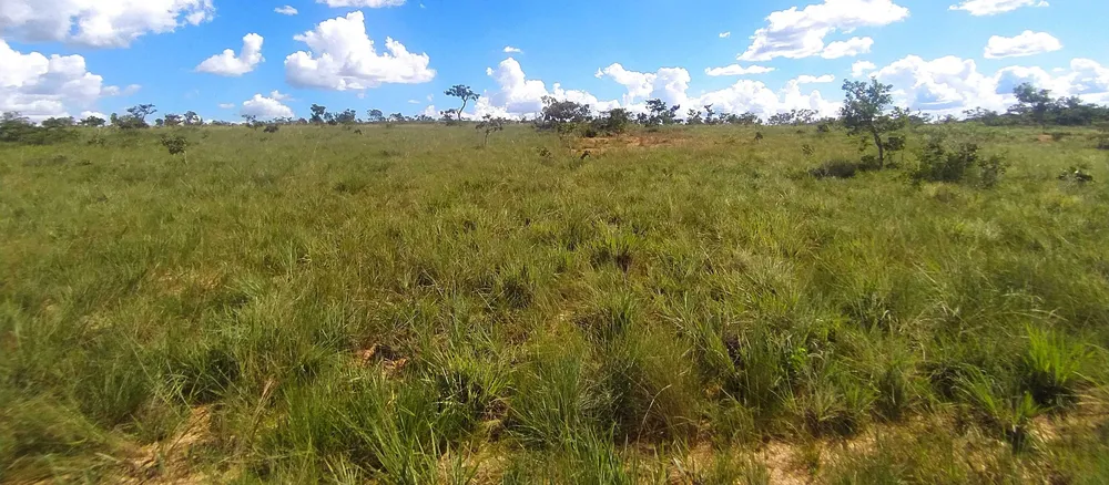 Fazenda, 615 hectares - Foto 2