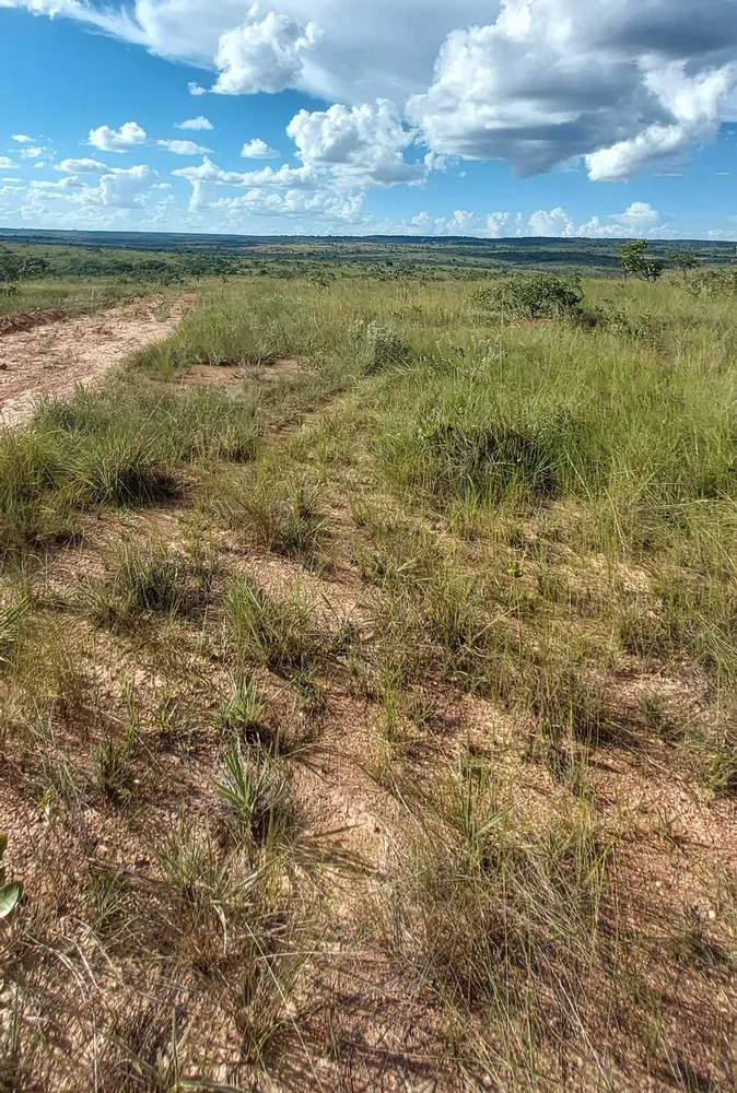 Fazenda, 615 hectares - Foto 6