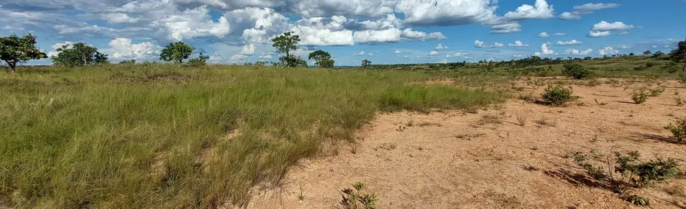Fazenda, 615 hectares - Foto 12