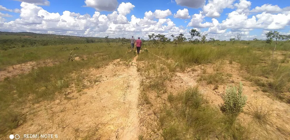 Fazenda, 615 hectares - Foto 1