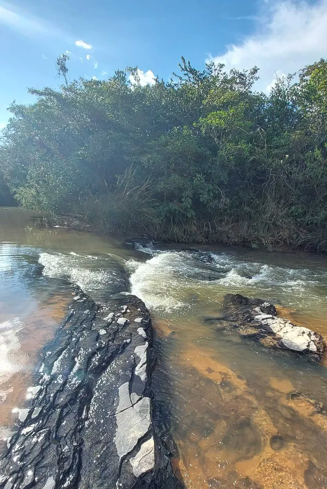 Fazenda, 615 hectares - Foto 8