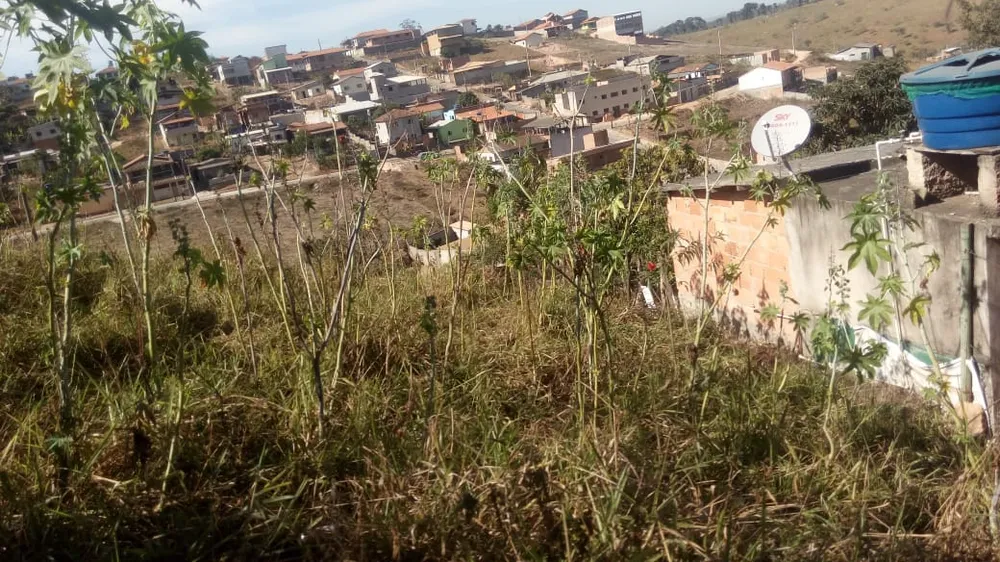 Terreno, 300 m² - Foto 3