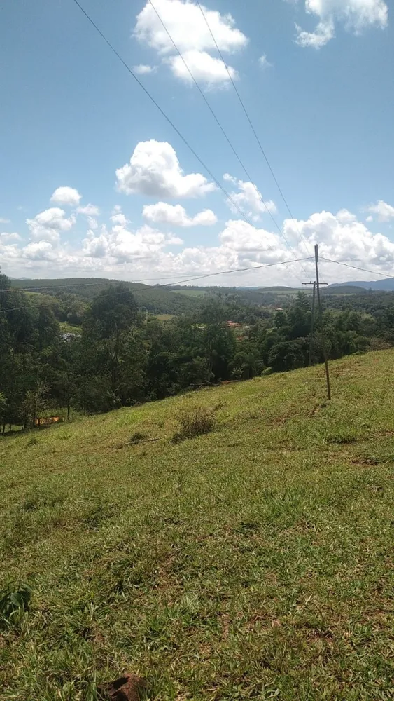 Chácara, 3 quartos - Foto 4