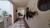 Casa, 8 quartos, 300 m² - Foto 2