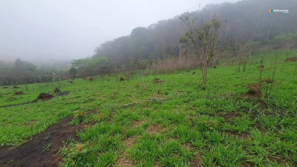 Terreno, 2500 m² - Foto 2