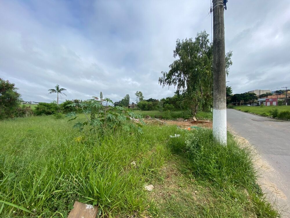 Terreno à venda, 4994m² - Foto 3