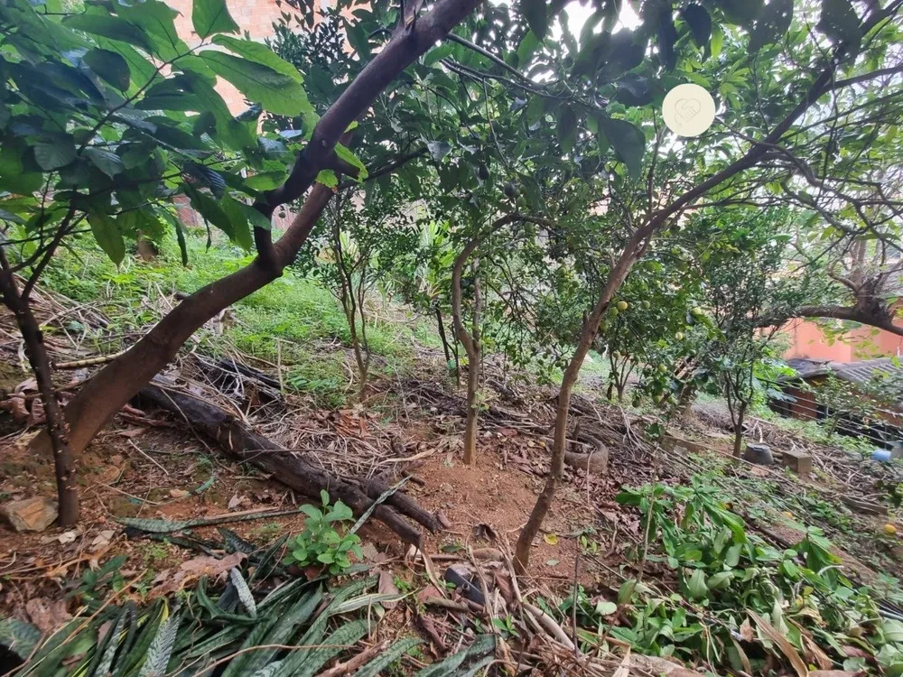 Terreno, 392 m² - Foto 11