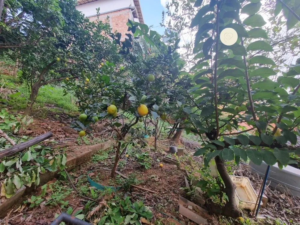 Terreno, 392 m² - Foto 5
