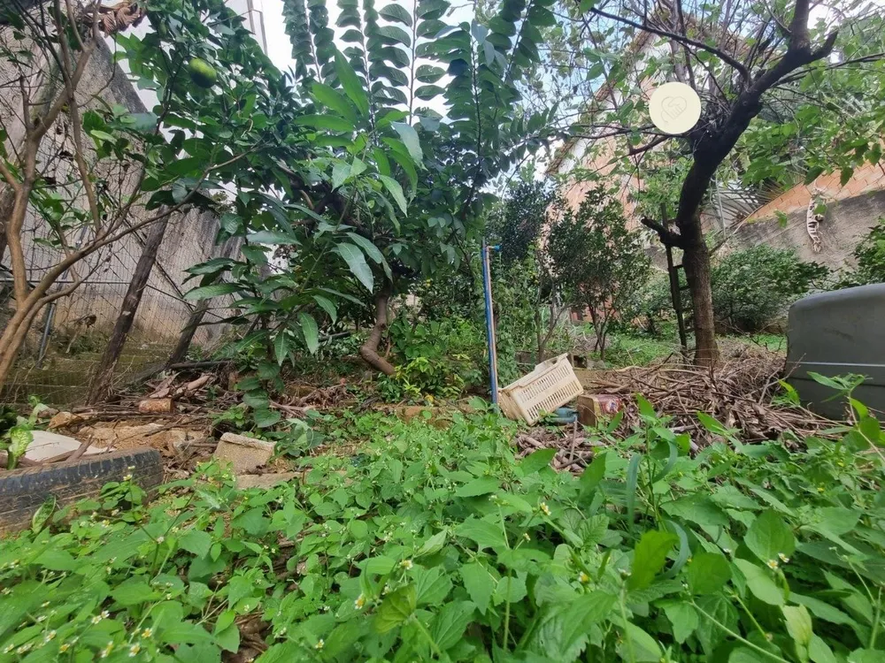 Terreno, 392 m² - Foto 14
