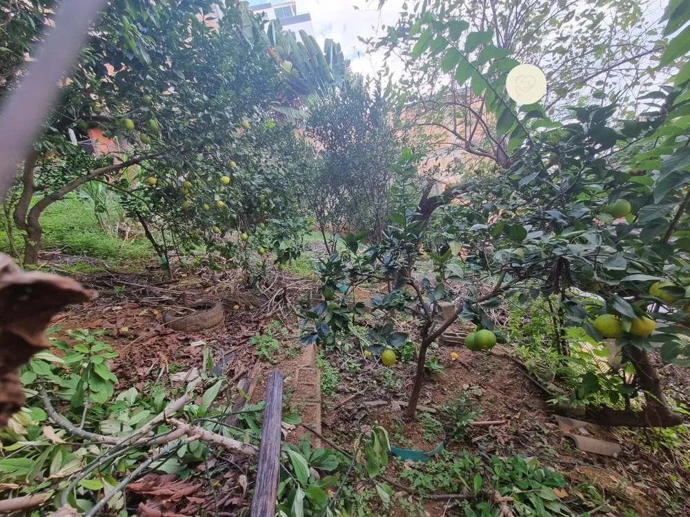 Terreno, 392 m² - Foto 4