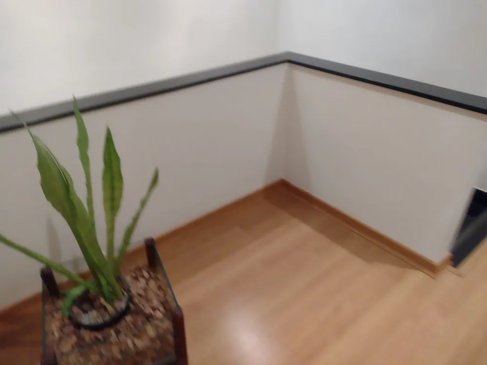 Casa, 4 quartos, 120 m² - Foto 9