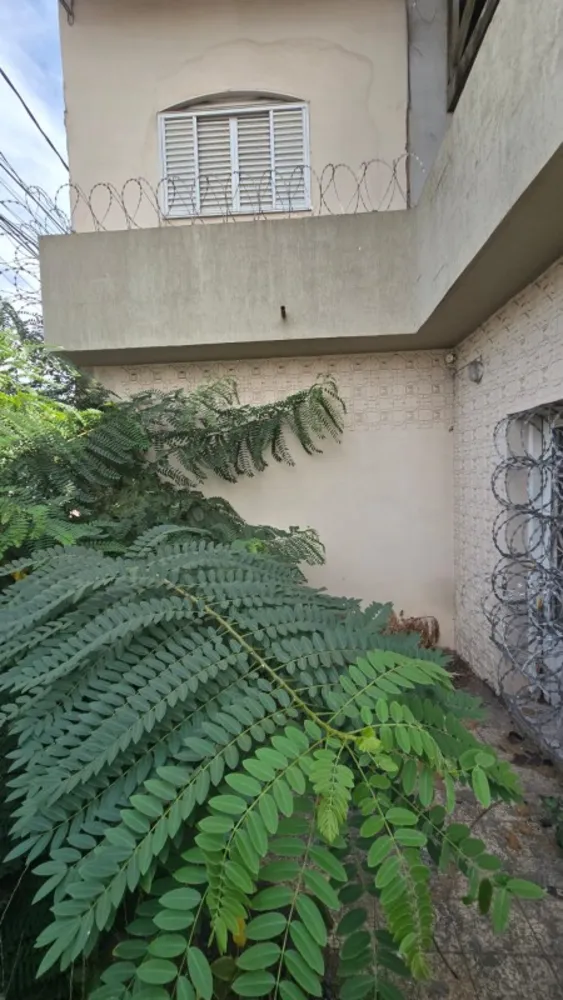 Casa, 5 quartos, 300 m² - Foto 1