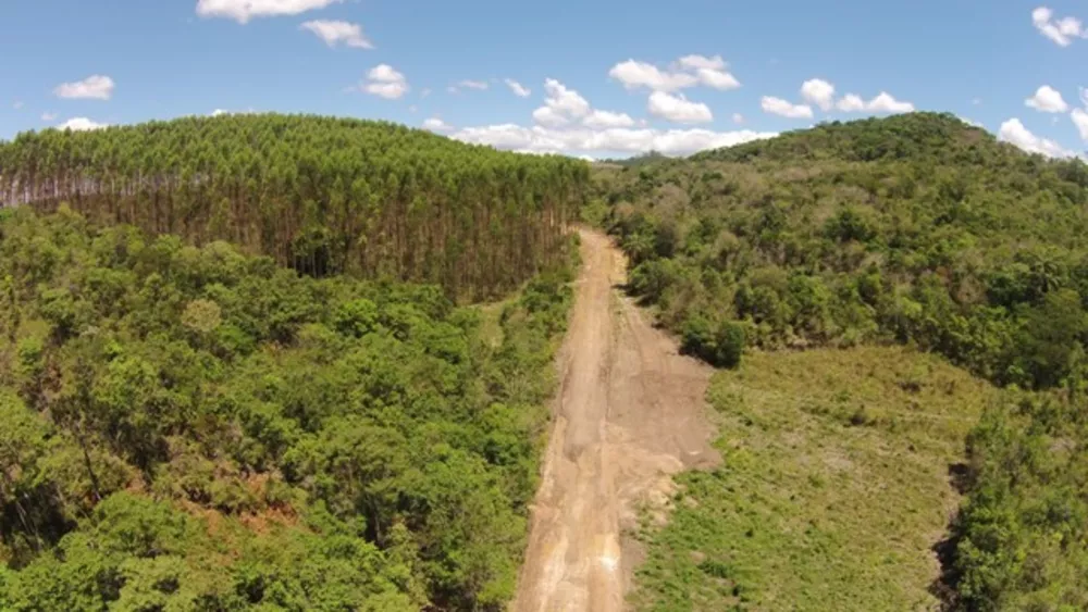 Chácara à venda com 1 quarto, 20000m² - Foto 3