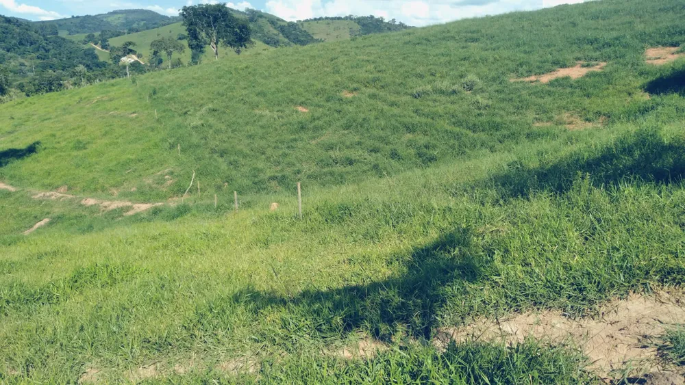 Sítio, 1 quarto, 29 hectares - Foto 7