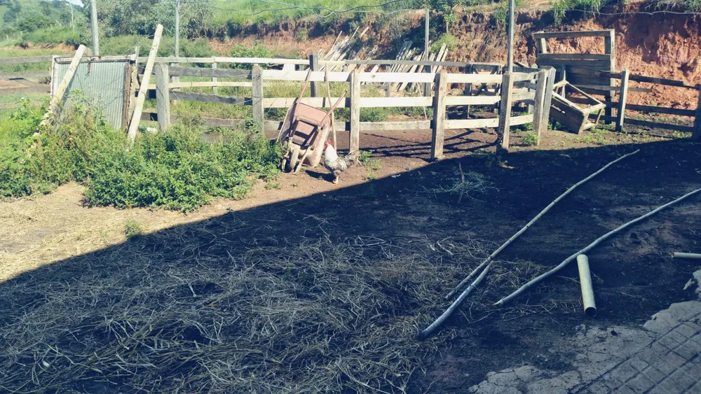 Sítio, 1 quarto, 29 hectares - Foto 4
