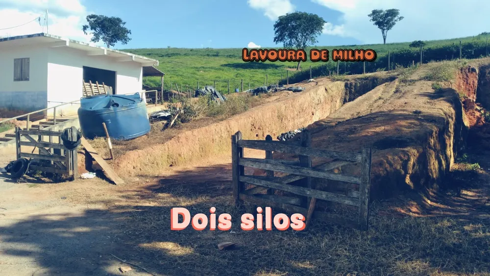 Sítio, 1 quarto, 29 hectares - Foto 11