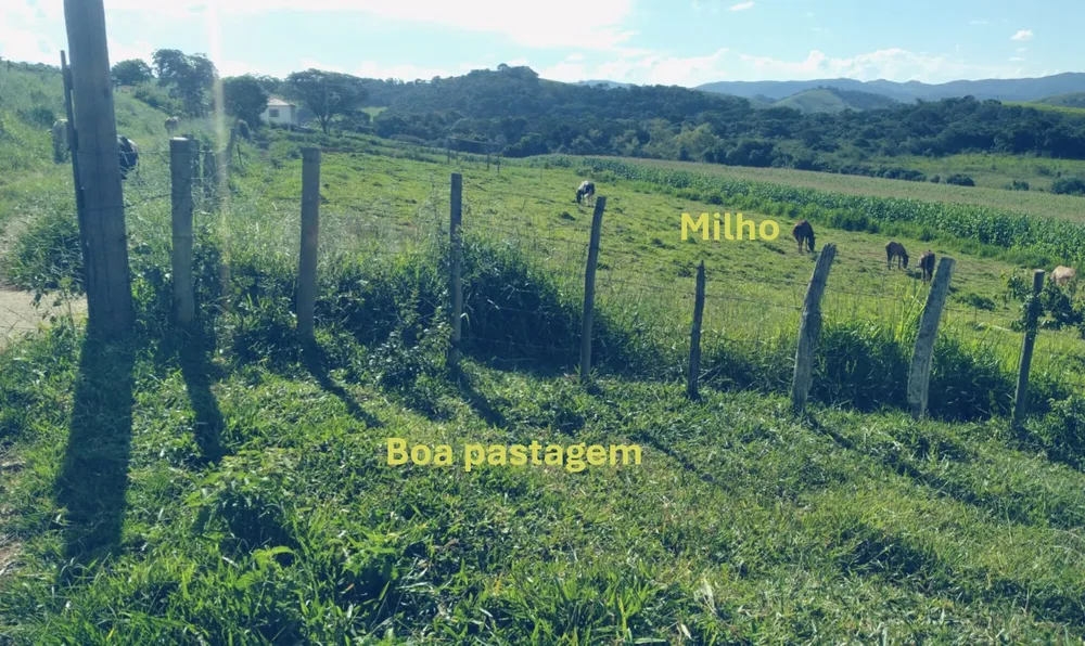 Sítio, 1 quarto, 29 hectares - Foto 10