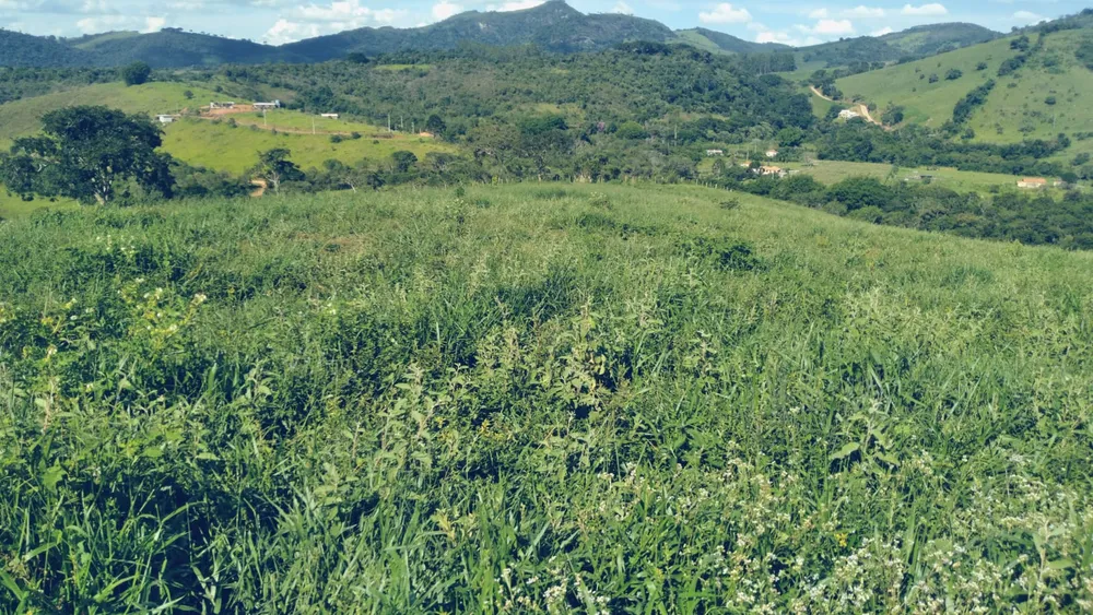 Sítio, 1 quarto, 29 hectares - Foto 2