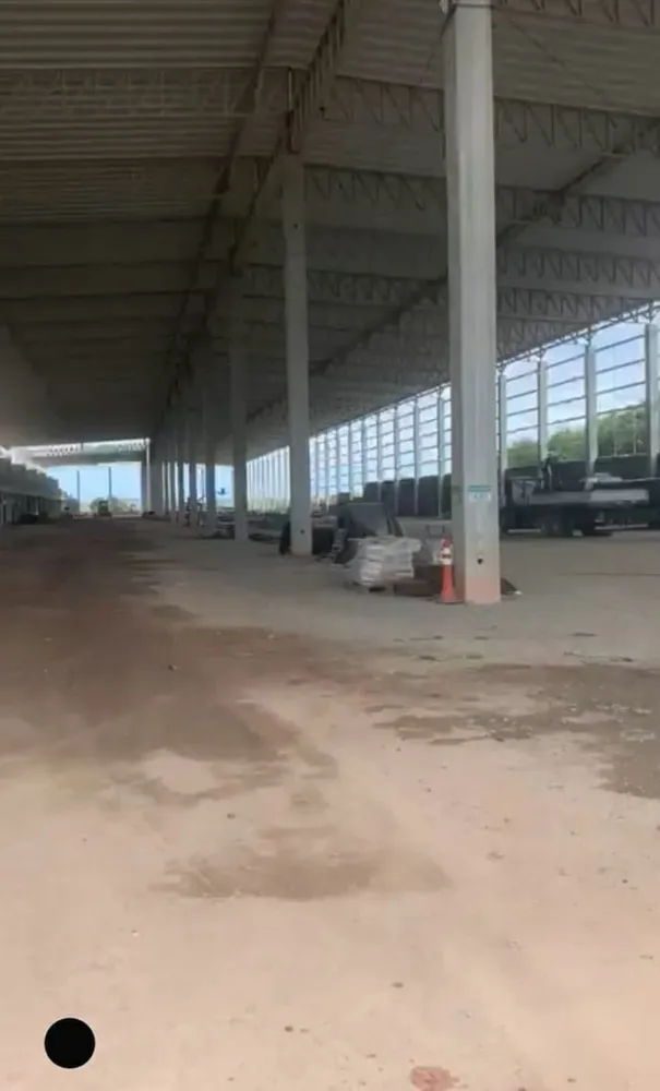 Depósito-Galpão, 1000 m² - Foto 6