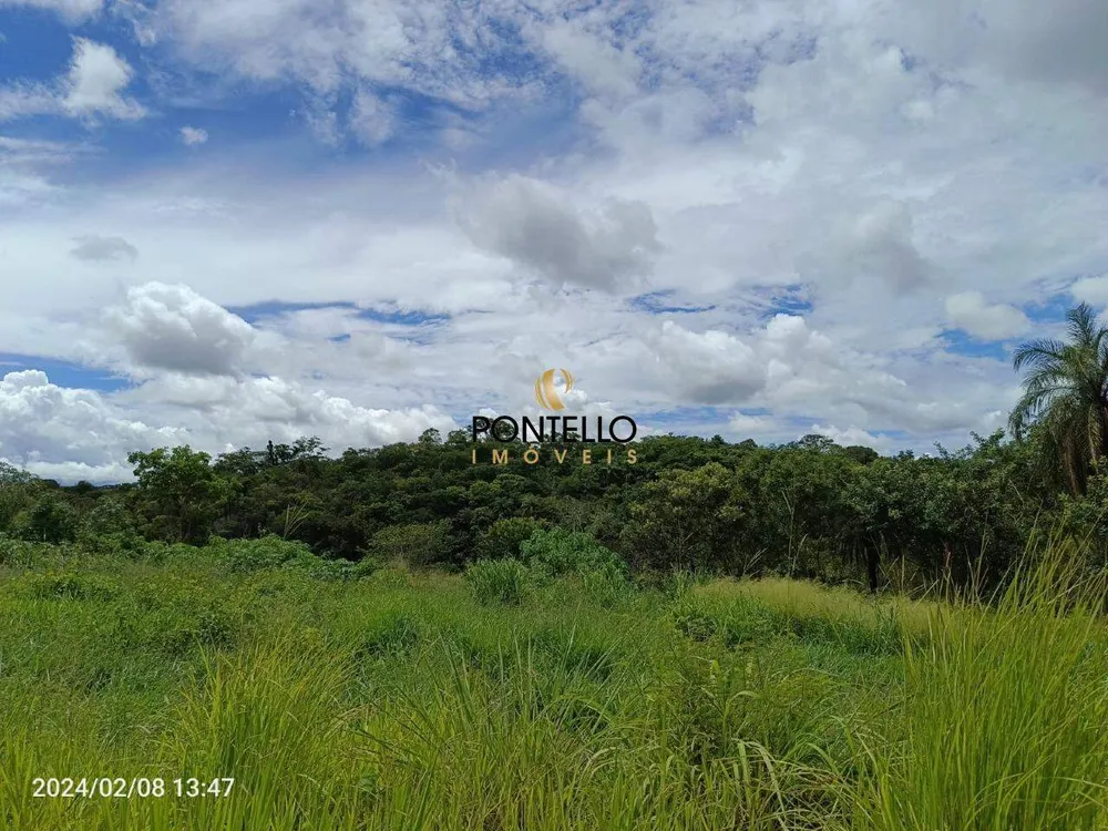 Terreno, 4 hectares - Foto 1