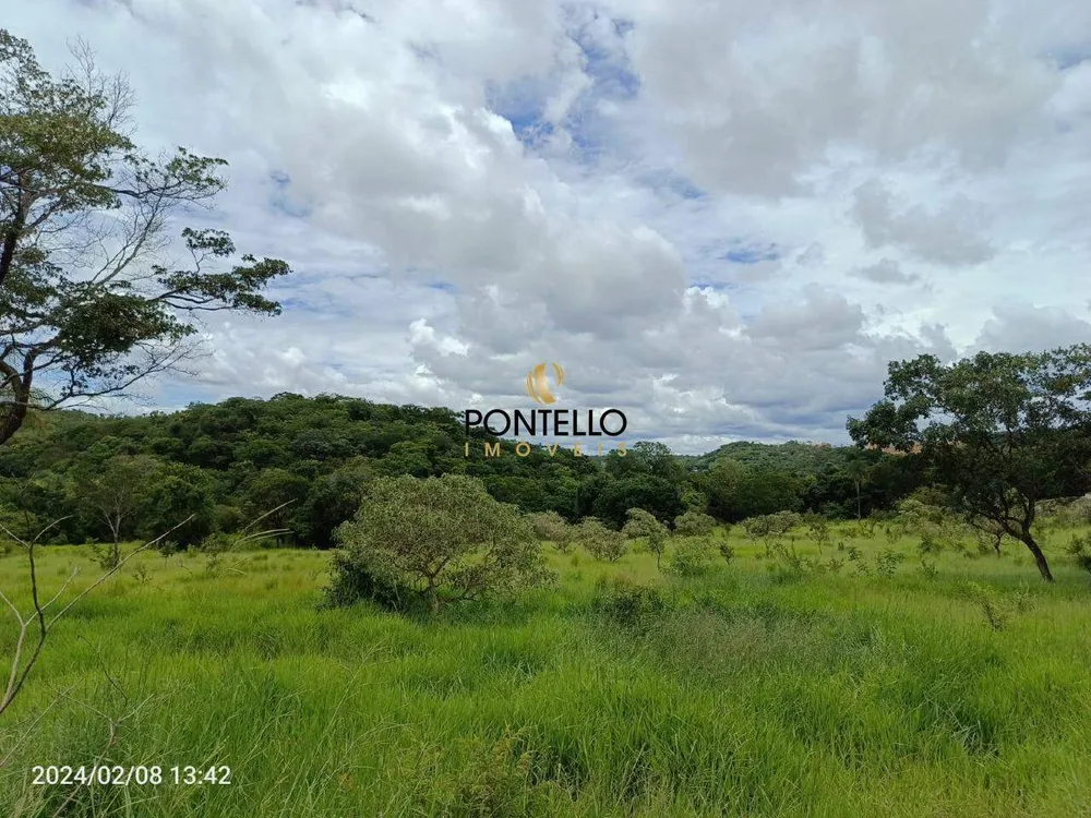 Terreno, 4 hectares - Foto 4