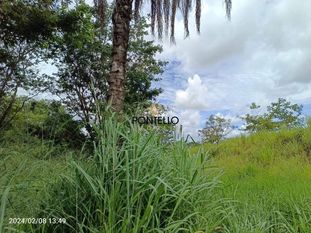 Terreno, 4 hectares - Foto 2