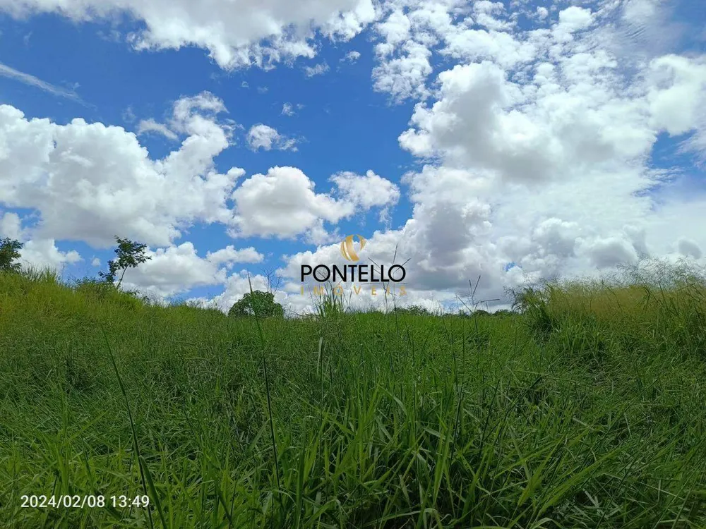 Terreno, 4 hectares - Foto 3