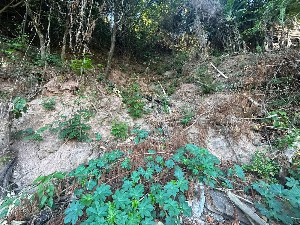 Terreno, 360 m² - Foto 3