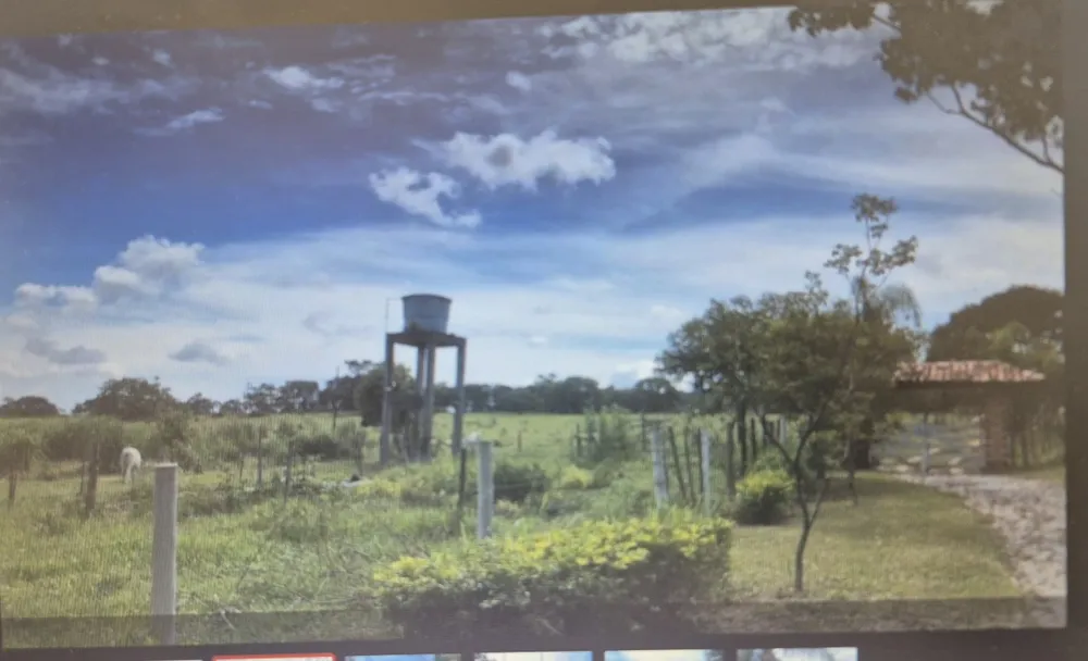 Fazenda, 11 hectares - Foto 4