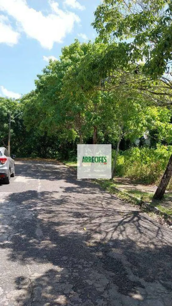 Terreno, 1960 m² - Foto 6