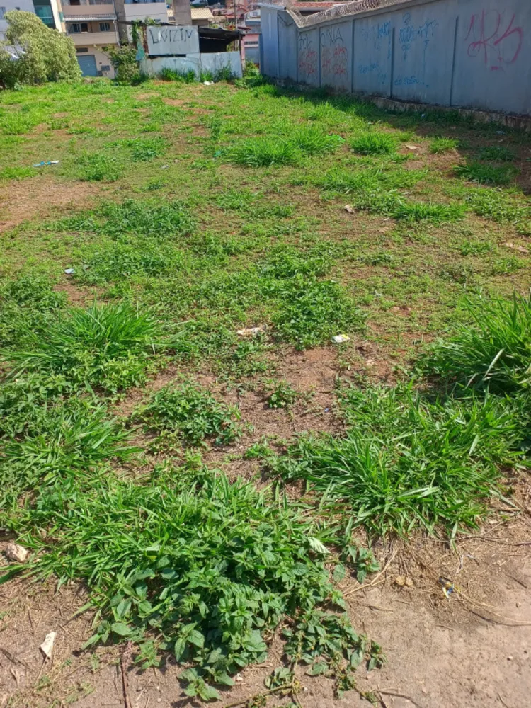 Terreno, 360 m² - Foto 7