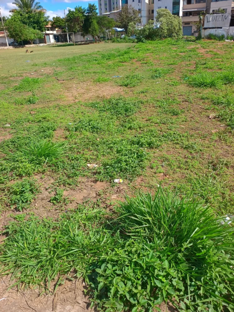 Terreno, 360 m² - Foto 8