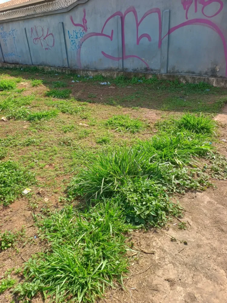 Terreno, 360 m² - Foto 1