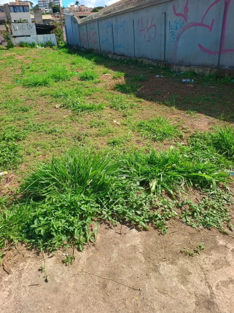 Terreno, 360 m² - Foto 5