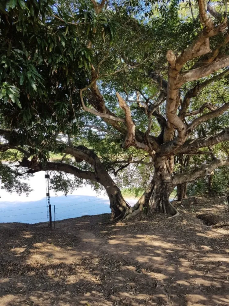 Fazenda, 1 quarto - Foto 1