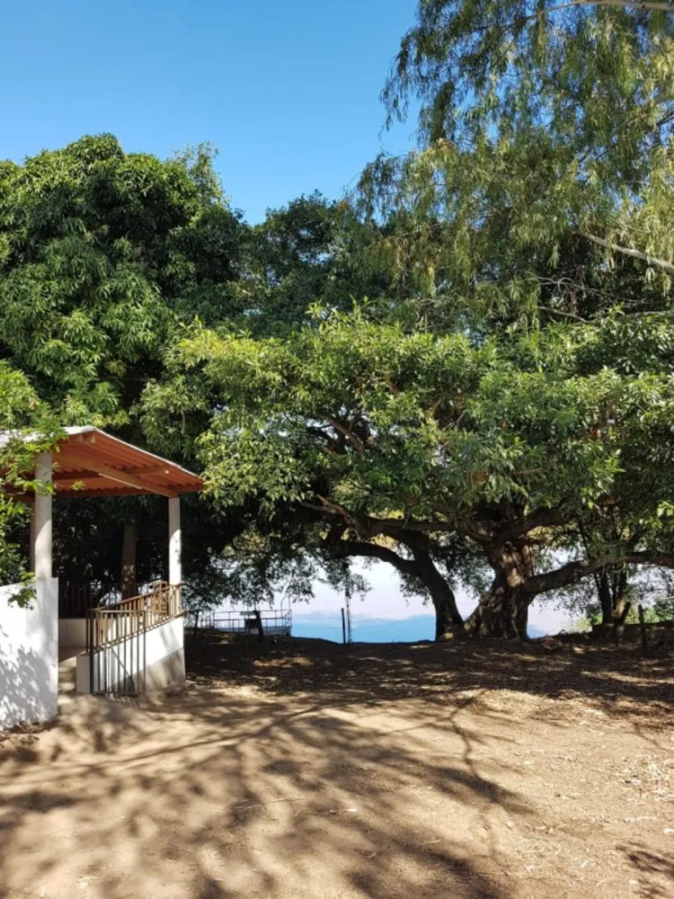 Fazenda, 1 quarto - Foto 5