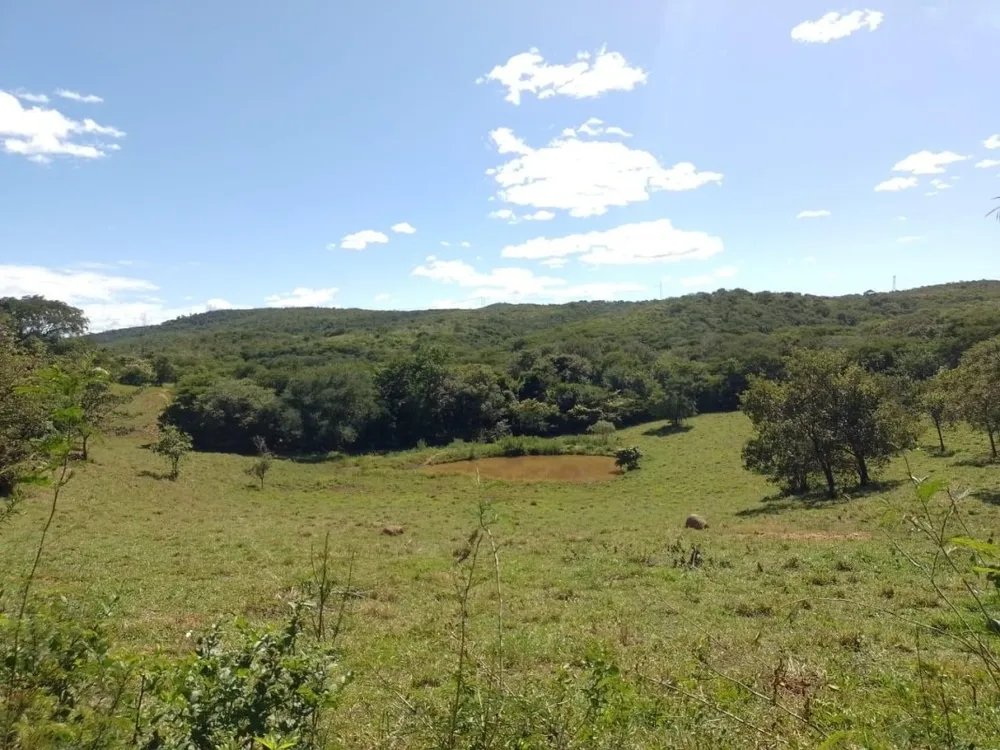 Fazenda, 1118 hectares - Foto 10
